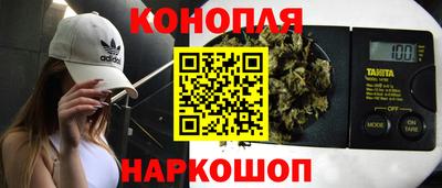гидра Нальчик