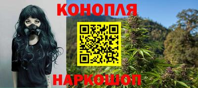 спиды Новозыбков