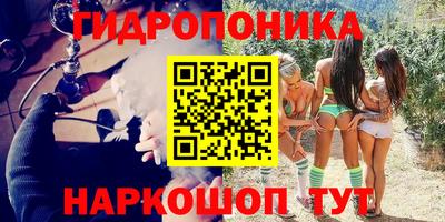 круглые Новодвинск